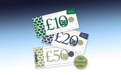 Gift Vouchers For Transforming Your Business!